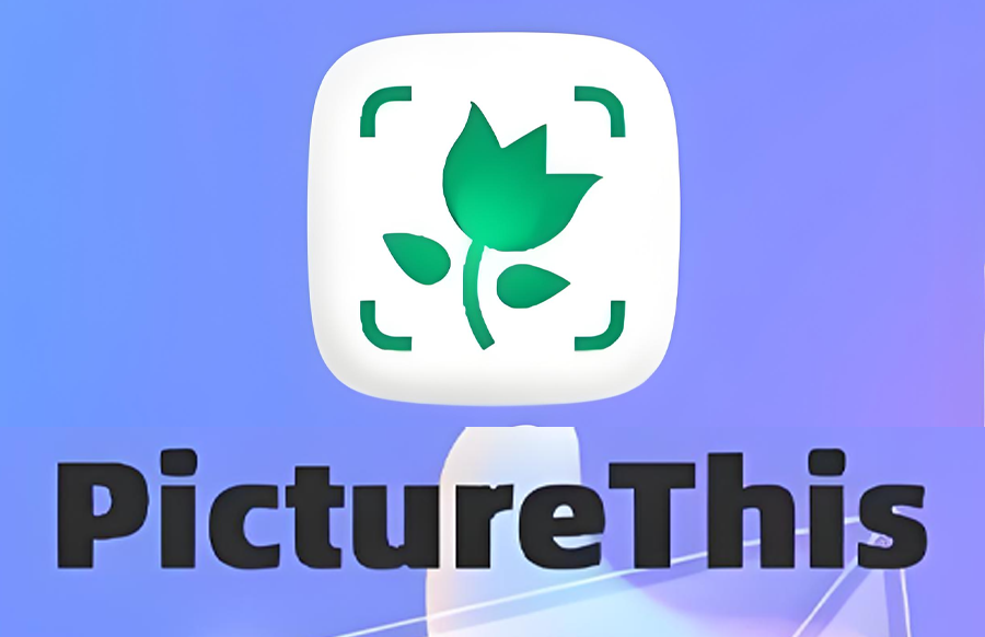 【安卓】PictureThis Plant Identifier 植物识别软件 v5.10.0 简洁无广告 - 枫叶资源-枫叶资源